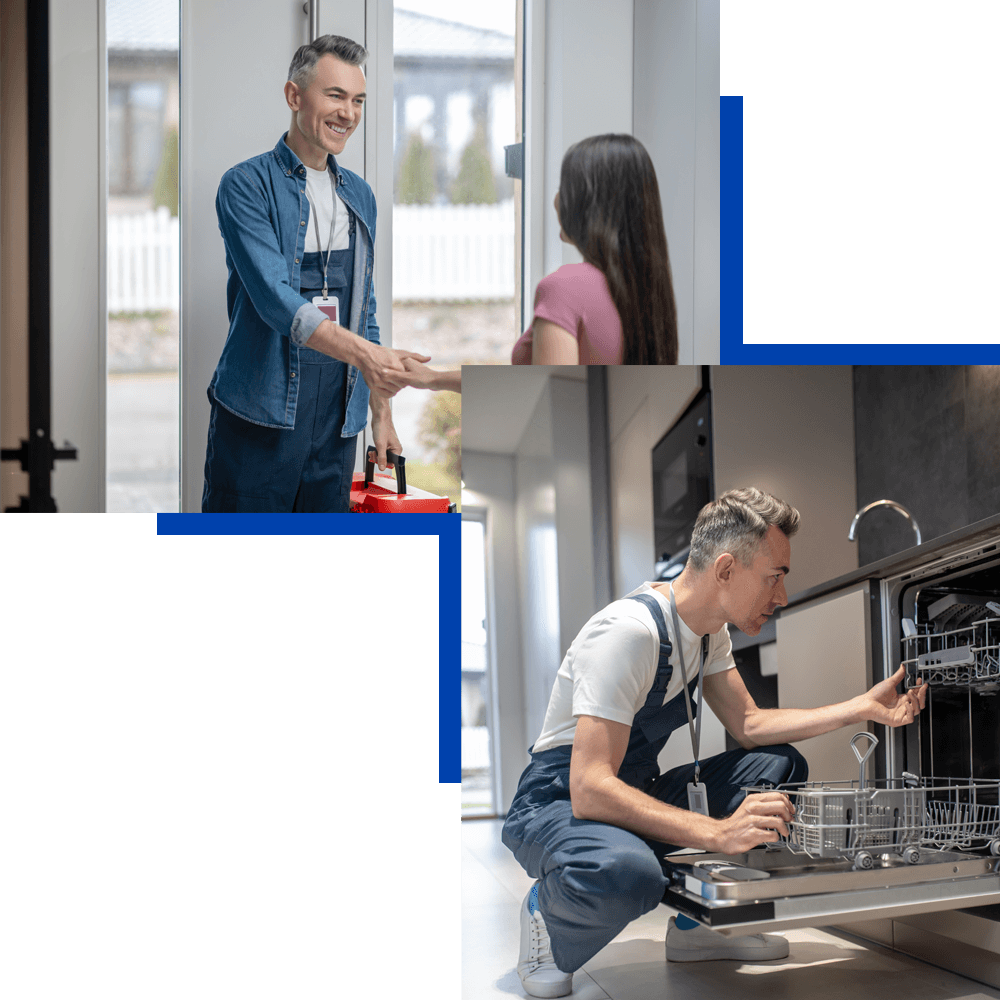 Professional Plumbers